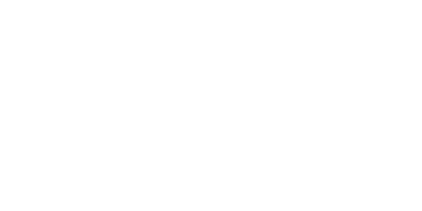 Pegasus_Logo_sehr_klein_NEU-2024